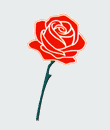 Rote Rose - Symbol der SP