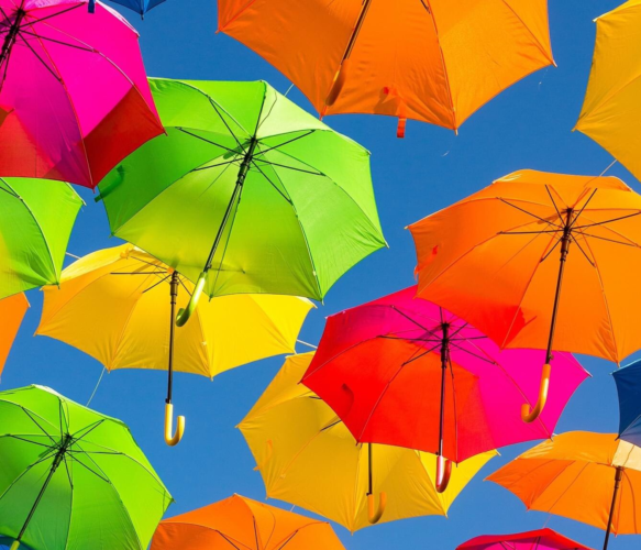 Vielfalt statt Einfalt